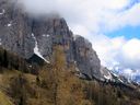 IMG_6813.jpg