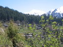 IMG_6977.JPG