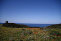 IMG_8263.JPG