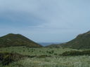 IMG_8333.jpg