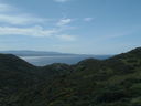 IMG_8337.jpg
