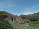 IMG_8357.jpg