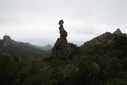 IMG_8477.JPG