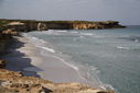 IMG_8571.JPG
