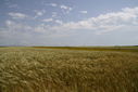 IMG_8614.JPG