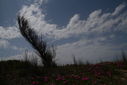 IMG_8643.JPG