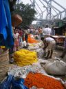 India_Sikkim025.jpg