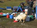 India_Sikkim060.jpg