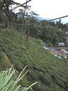 India_Sikkim119.jpg