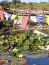India_album21.jpg