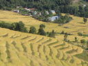 India_album49.JPG