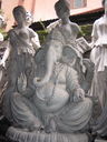 India_album60.jpg