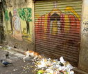India_album62.JPG