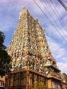 Kerala_2013_JMB12.jpg