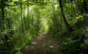 STANT-130529-0028.jpg
