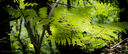 STANT-130529-0029.jpg