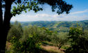 STANT-130530-0039.jpg