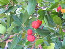 dscn0163_01.jpg
