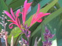 dscn0229_01.jpg