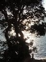 dscn0437_01.jpg