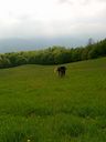 280420111258.jpg