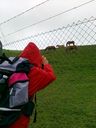 280420111280.jpg