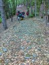 280420111291.jpg