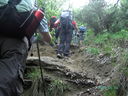 PICT3229.JPG