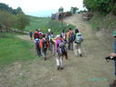PICT3265.JPG