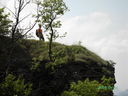 PICT3291.JPG