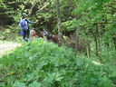 PICT3380.JPG