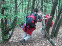 PICT3425.JPG