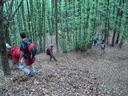PICT3426.JPG