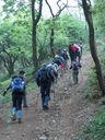 PICT3439.JPG