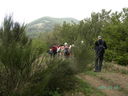 PICT3447.JPG
