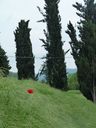 P1010756.jpg