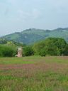 P1010760.jpg