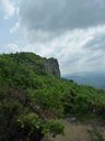 P1010791.jpg