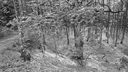 P1010848-2.jpg