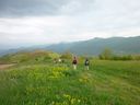 P1010865.jpg