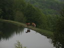 IMG_6749.JPG