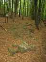 IMG_6750.JPG
