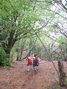 IMG_6752.JPG