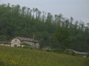 IMG_6773.JPG