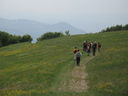 IMG_6782.JPG