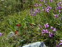 P1020043.JPG