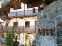 P1020106.jpg