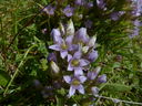 P1020172.JPG
