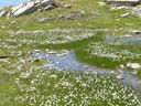 P1020185.JPG