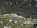 P1060516~0.JPG